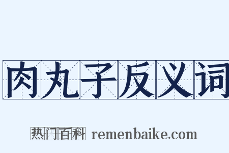 肉丸子反义词是什么意思的图片